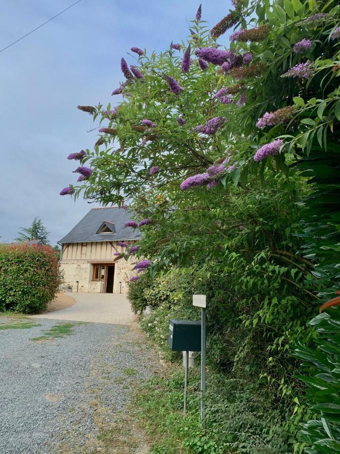 Le Logis De La Chouette Hotell Baugé Exteriör bild