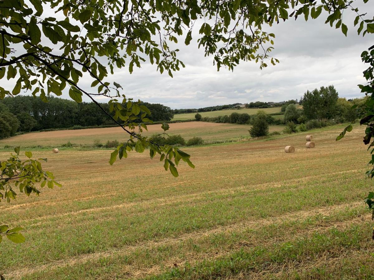 Le Logis De La Chouette Hotell Baugé Exteriör bild